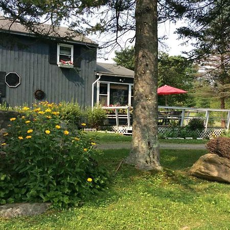 Firefly Bed & Breakfast Lincoln Eksteriør billede