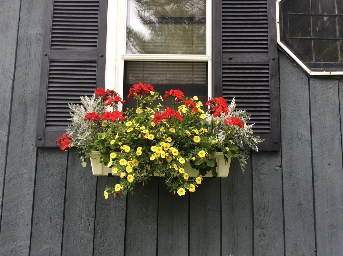 Firefly Bed & Breakfast Lincoln Eksteriør billede