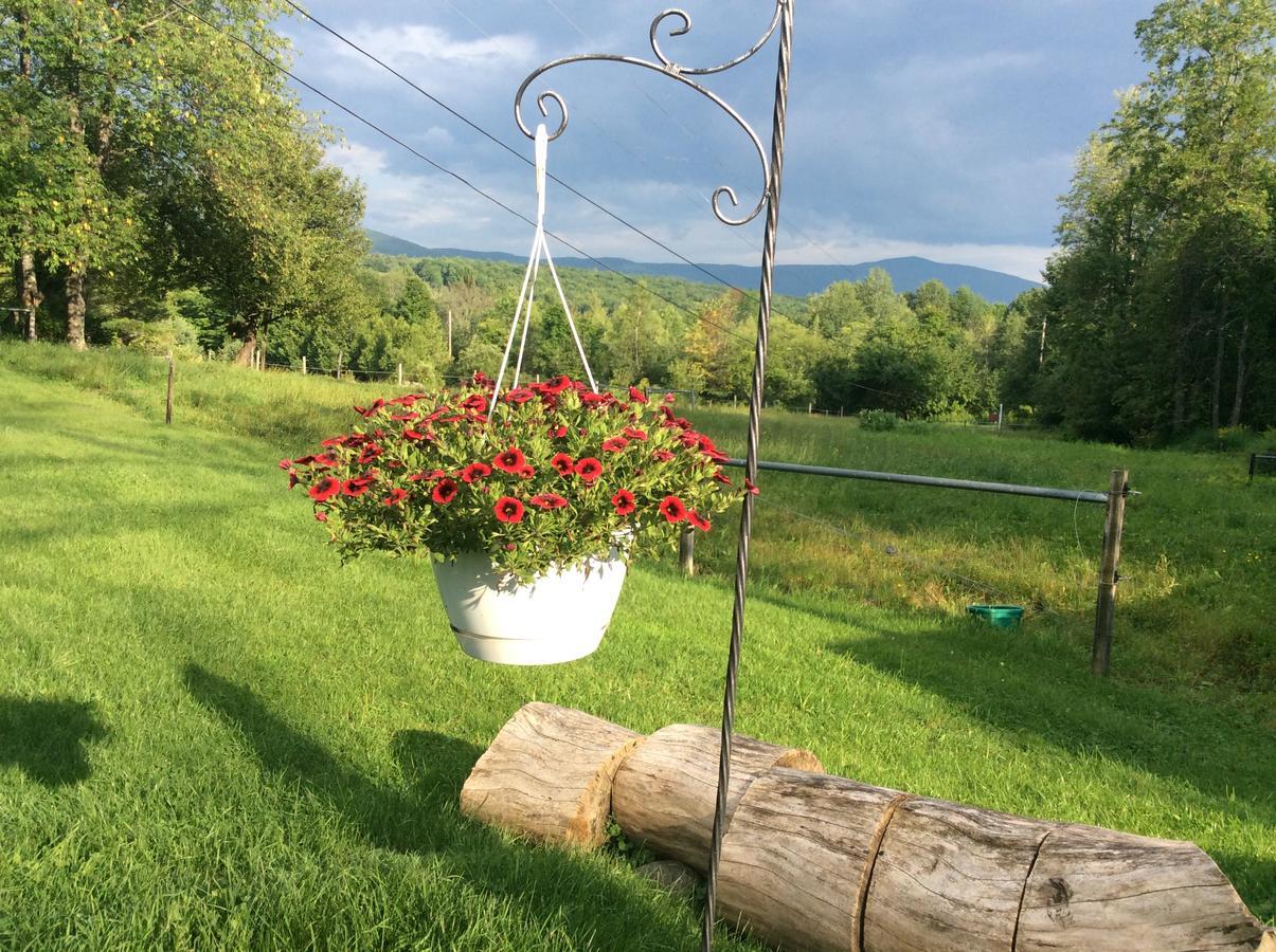 Firefly Bed & Breakfast Lincoln Eksteriør billede