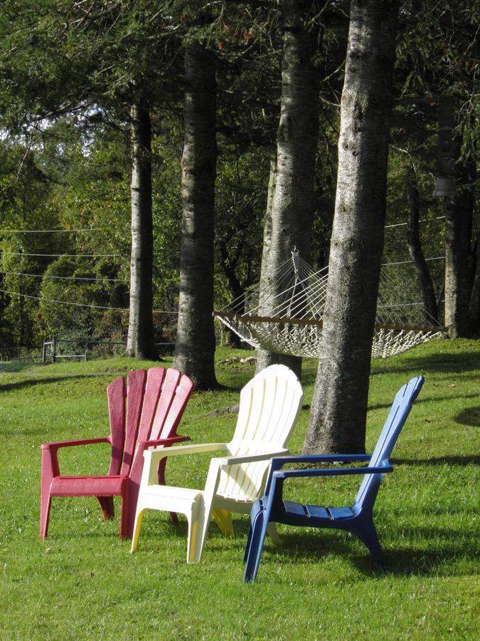 Firefly Bed & Breakfast Lincoln Eksteriør billede