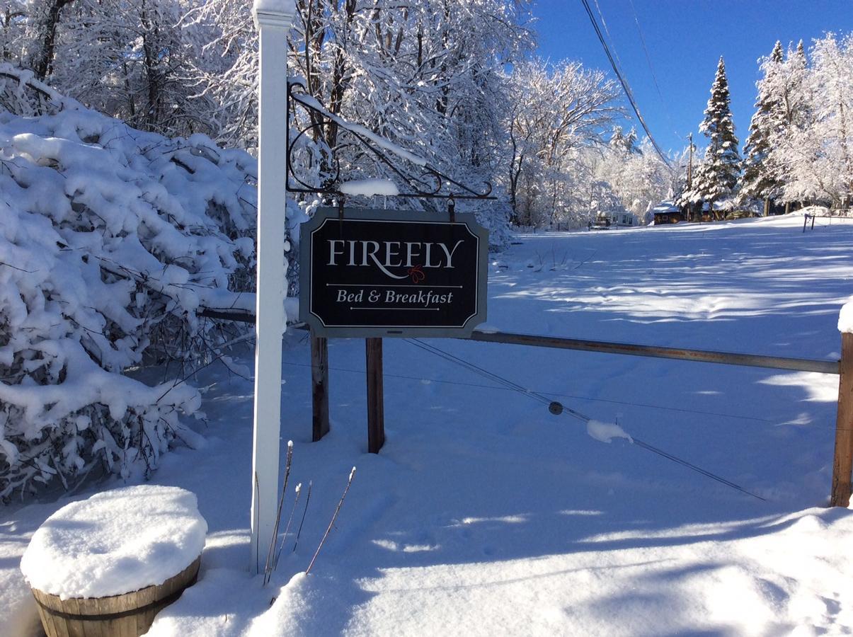 Firefly Bed & Breakfast Lincoln Eksteriør billede