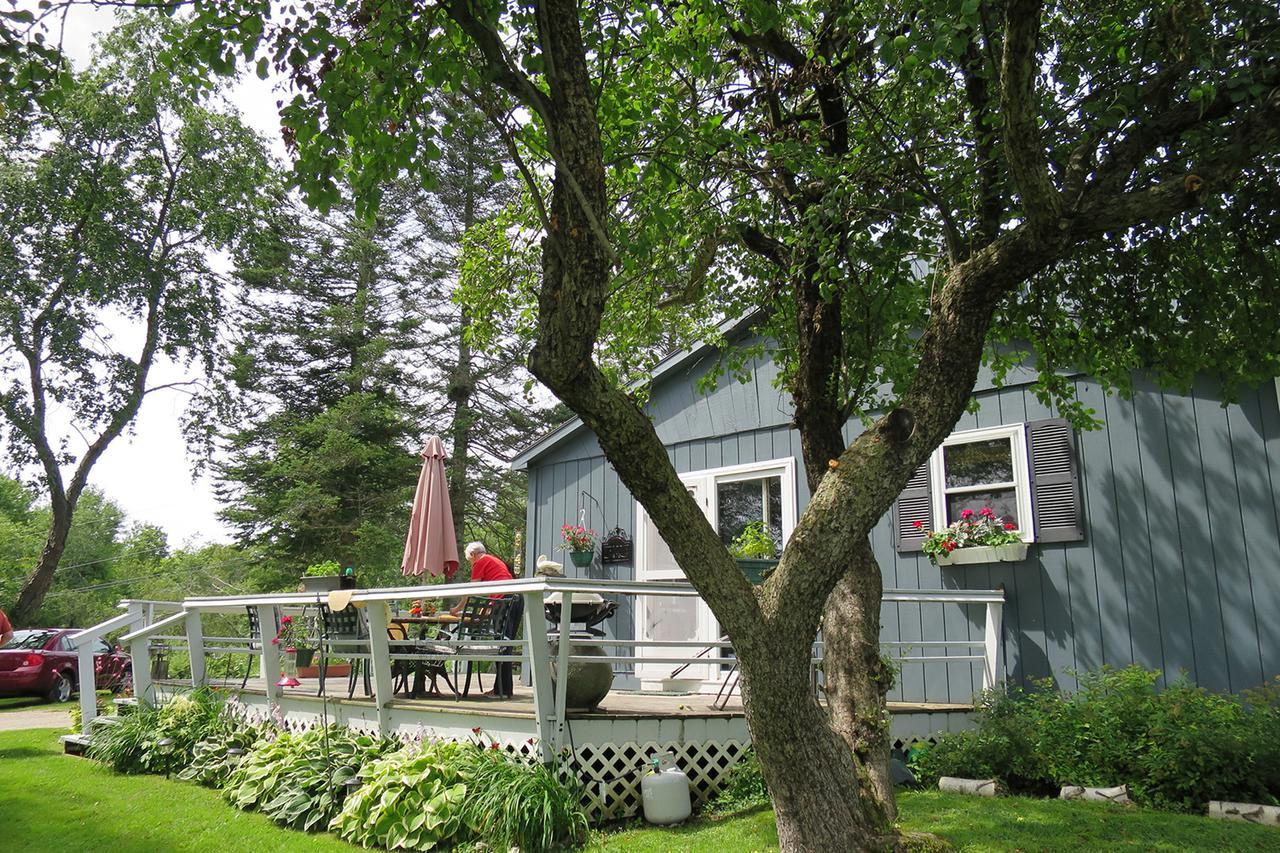 Firefly Bed & Breakfast Lincoln Eksteriør billede