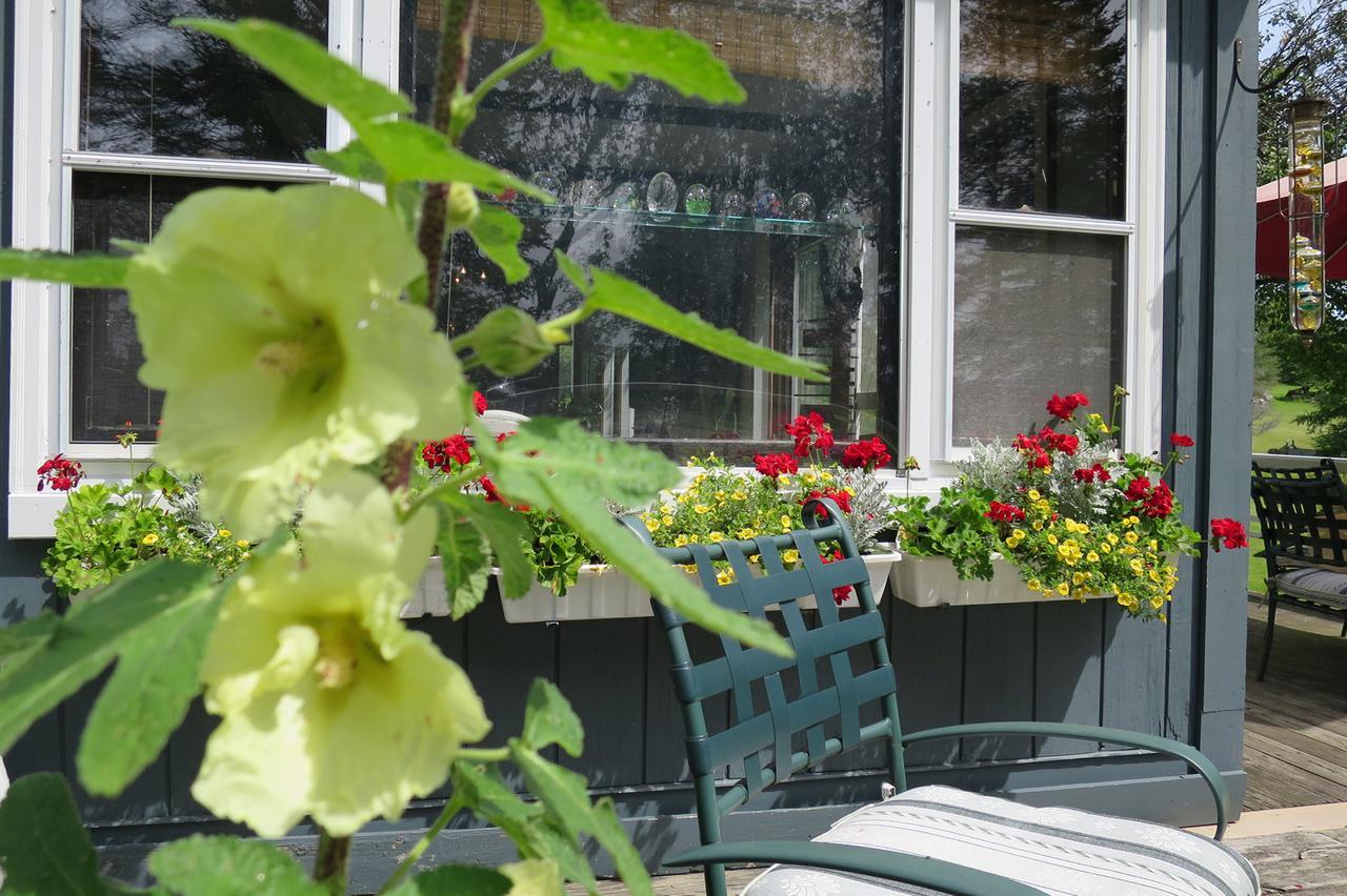 Firefly Bed & Breakfast Lincoln Eksteriør billede