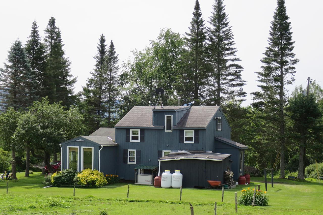 Firefly Bed & Breakfast Lincoln Eksteriør billede