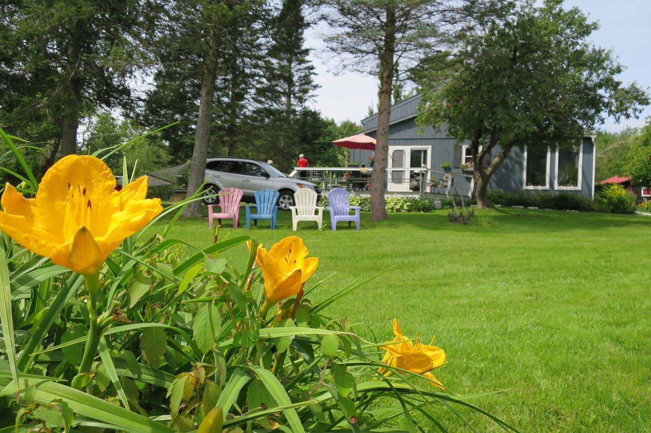 Firefly Bed & Breakfast Lincoln Eksteriør billede