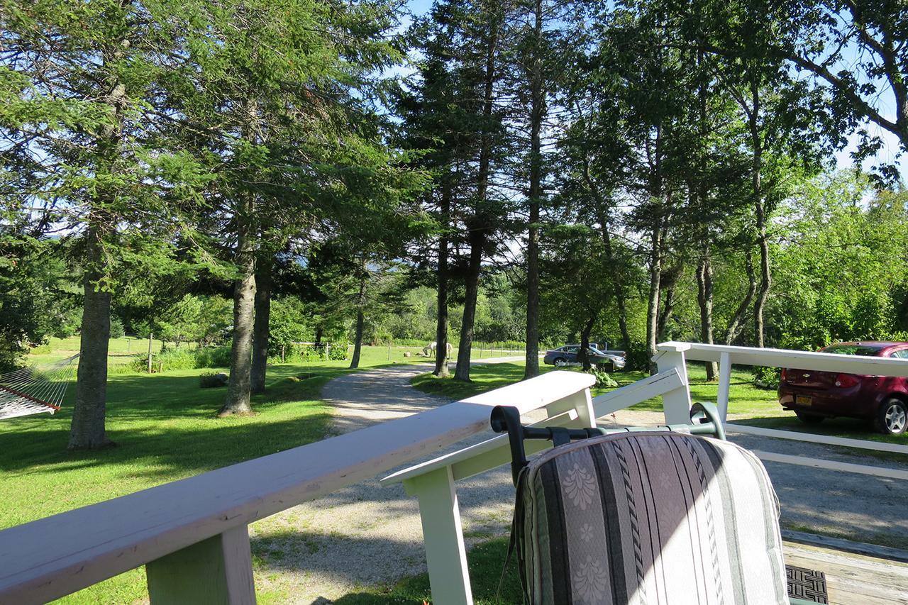 Firefly Bed & Breakfast Lincoln Eksteriør billede