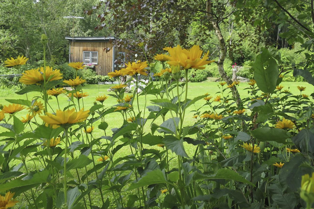 Firefly Bed & Breakfast Lincoln Eksteriør billede